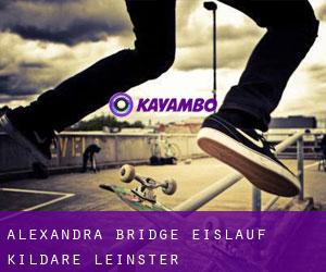 Alexandra Bridge eislauf (Kildare, Leinster)