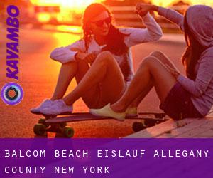 Balcom Beach eislauf (Allegany County, New York)