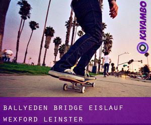 Ballyeden Bridge eislauf (Wexford, Leinster)