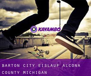 Barton City eislauf (Alcona County, Michigan)