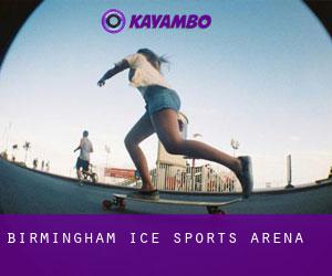 Birmingham Ice Sports Arena