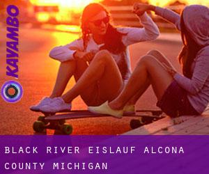 Black River eislauf (Alcona County, Michigan)