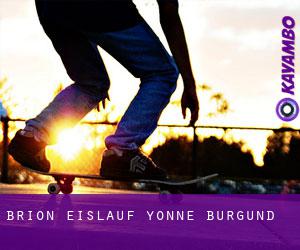 Brion eislauf (Yonne, Burgund)