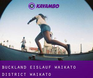 Buckland eislauf (Waikato District, Waikato)