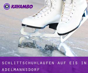 Schlittschuhlaufen auf Eis in Adelmannsdorf 