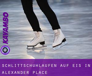 Schlittschuhlaufen auf Eis in Alexander Place 