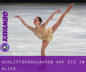 Schlittschuhlaufen auf Eis in Alife 