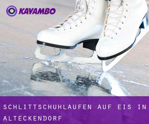 Schlittschuhlaufen auf Eis in Alteckendorf 