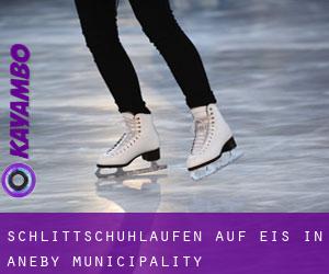 Schlittschuhlaufen auf Eis in Aneby Municipality 