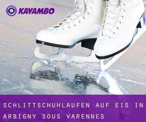Schlittschuhlaufen auf Eis in Arbigny-sous-Varennes 