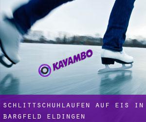 Schlittschuhlaufen auf Eis in Bargfeld (Eldingen) 
