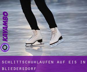 Schlittschuhlaufen auf Eis in Bliedersdorf 