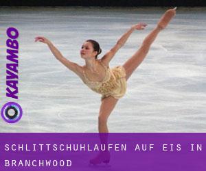 Schlittschuhlaufen auf Eis in Branchwood 