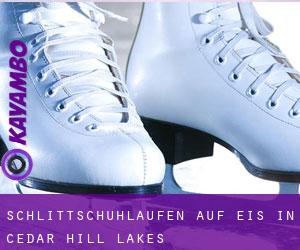 Schlittschuhlaufen auf Eis in Cedar Hill Lakes 