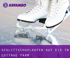 Schlittschuhlaufen auf Eis in Cottage Farm 