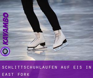 Schlittschuhlaufen auf Eis in East Fork 