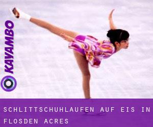 Schlittschuhlaufen auf Eis in Flosden Acres 