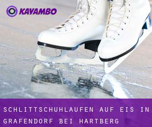 Schlittschuhlaufen auf Eis in Grafendorf bei Hartberg 