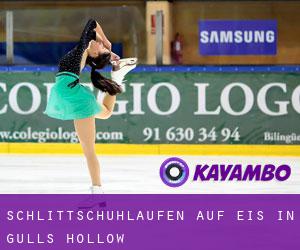 Schlittschuhlaufen auf Eis in Gulls Hollow 