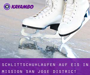 Schlittschuhlaufen auf Eis in Mission San Jose District 