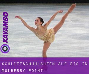 Schlittschuhlaufen auf Eis in Mulberry Point 