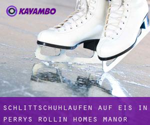 Schlittschuhlaufen auf Eis in Perrys Rollin' Homes Manor 