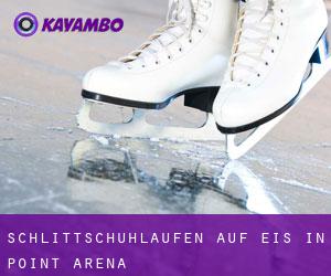 Schlittschuhlaufen auf Eis in Point Arena 