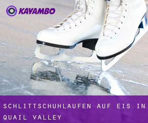 Schlittschuhlaufen auf Eis in Quail Valley 