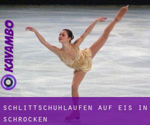 Schlittschuhlaufen auf Eis in Schröcken 