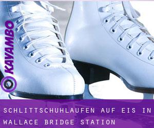 Schlittschuhlaufen auf Eis in Wallace Bridge Station 