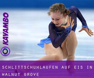 Schlittschuhlaufen auf Eis in Walnut Grove 