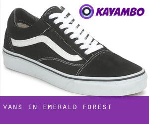 Vans in Emerald Forest