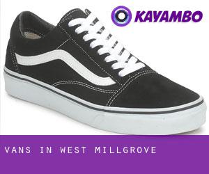 Vans in West Millgrove