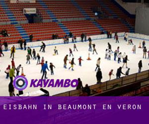 Eisbahn in Beaumont-en-Véron