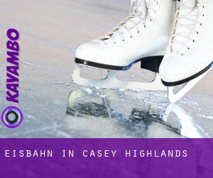 Eisbahn in Casey Highlands