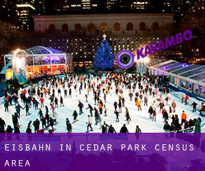 Eisbahn in Cedar Park (census area)