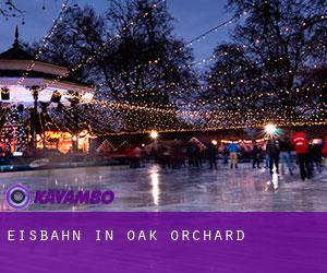 Eisbahn in Oak Orchard
