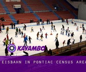 Eisbahn in Pontiac (census area)