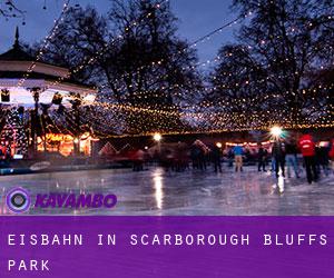 Eisbahn in Scarborough Bluffs Park