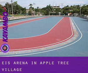 Eis-Arena in Apple Tree Village