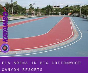 Eis-Arena in Big Cottonwood Canyon Resorts