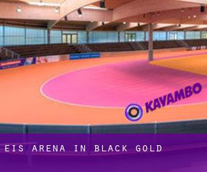 Eis-Arena in Black Gold