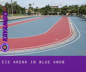 Eis-Arena in Blue Knob