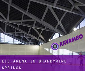 Eis-Arena in Brandywine Springs