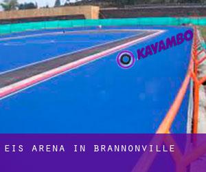 Eis-Arena in Brannonville