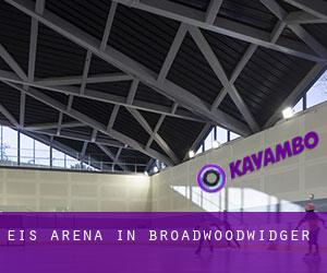 Eis-Arena in Broadwoodwidger