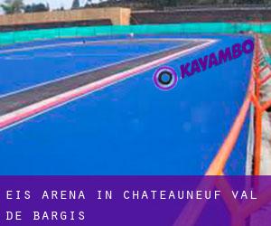 Eis-Arena in Châteauneuf-Val-de-Bargis