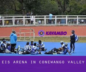Eis-Arena in Conewango Valley