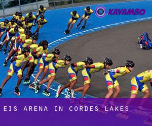 Eis-Arena in Cordes Lakes
