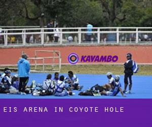 Eis-Arena in Coyote Hole